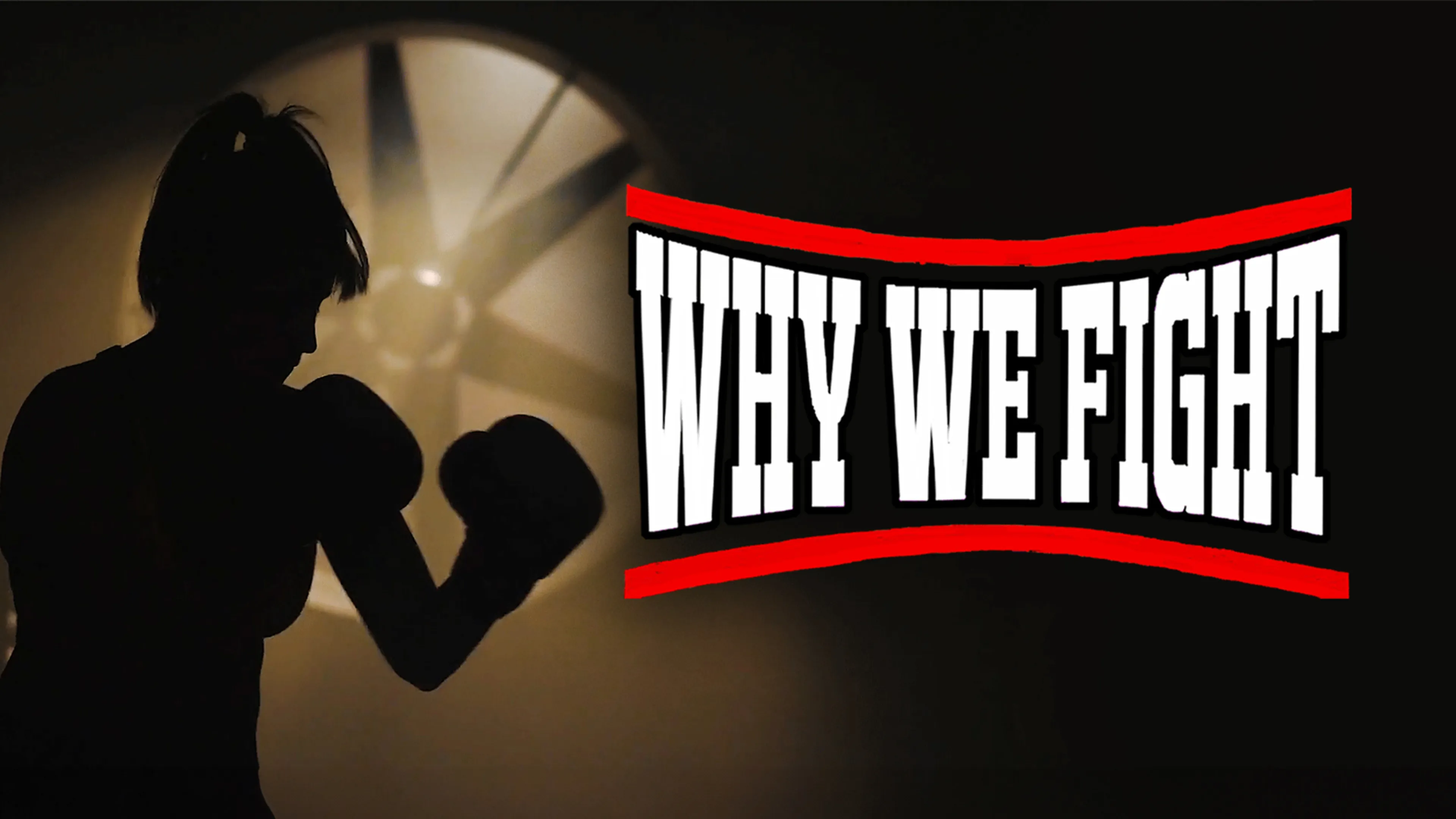 Why We Fight poster